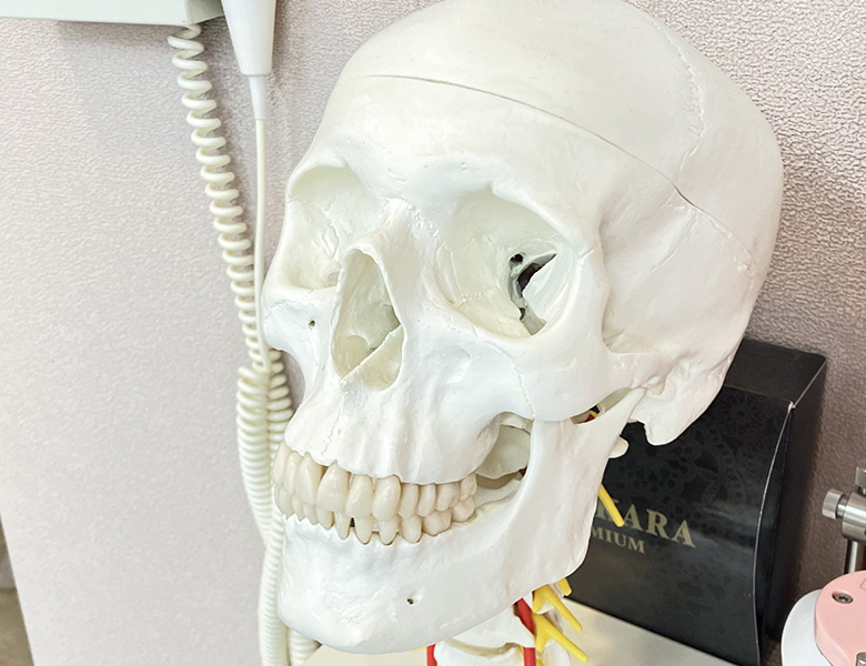 東日本橋・馬喰横山の歯医者、須藤デンタルクリニックの子どもの矯正歯科